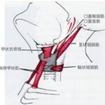 現在の画像に代替テキストがありません。ファイル名: images-1.jpg